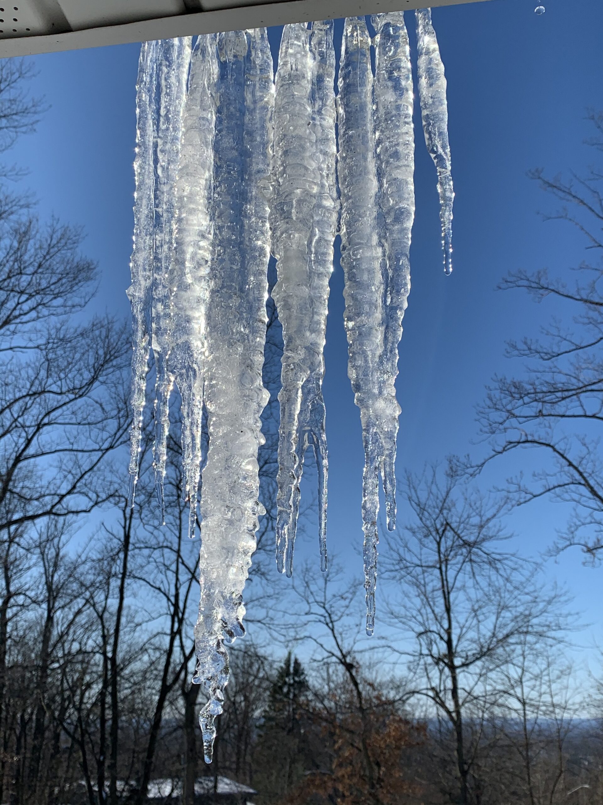 Icicle